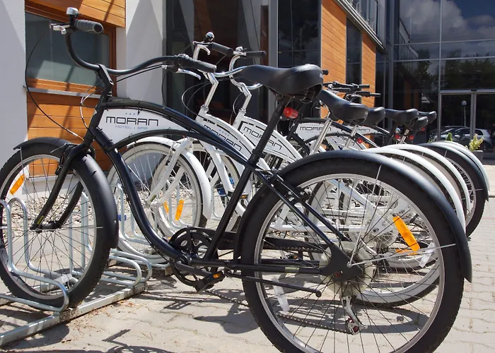 Moran & Hotel Powidz (Slupca)